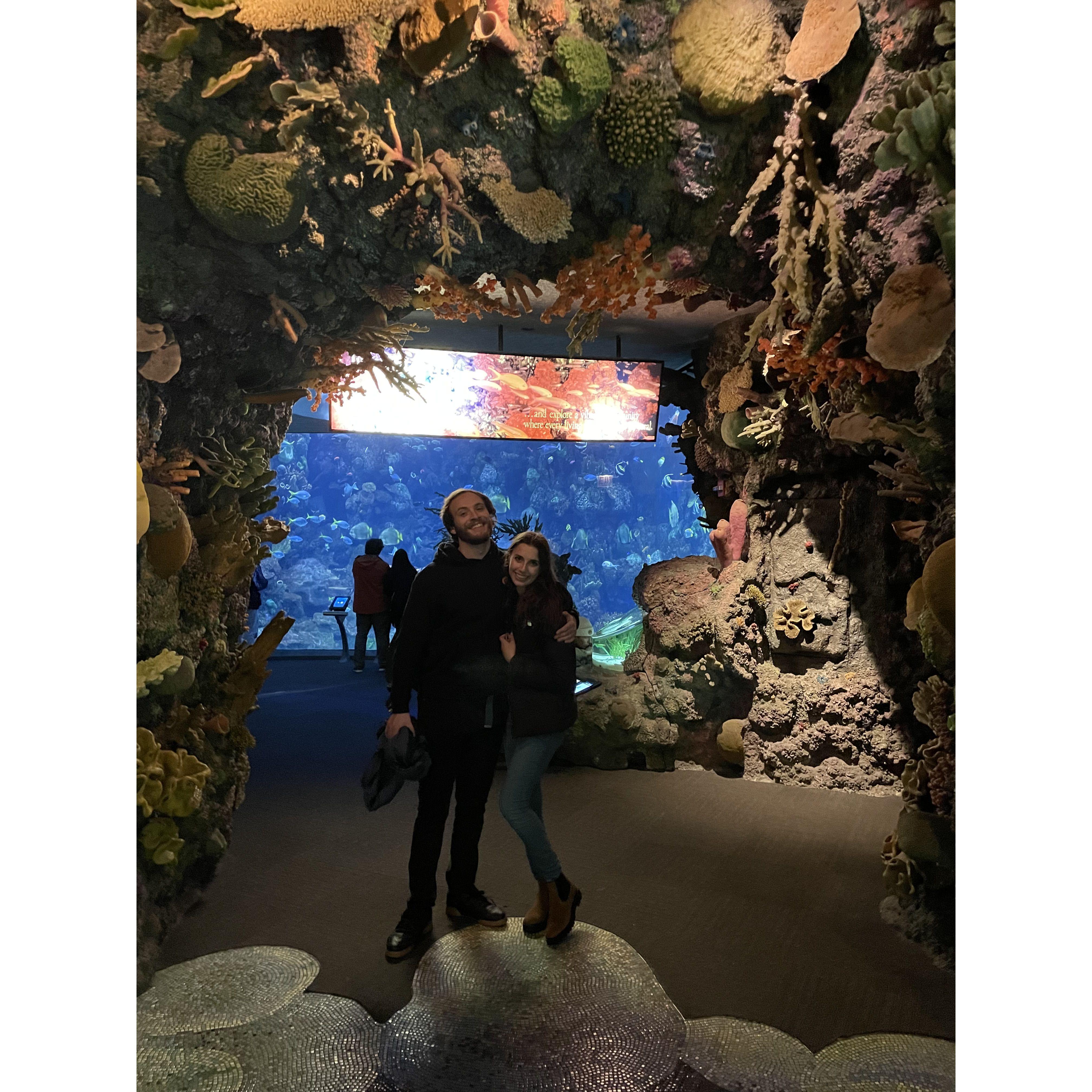 Shedd Aquarium - April 2023