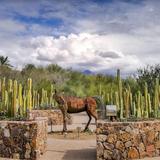 Tohono Chul | Gardens, Galleries, and Bistro