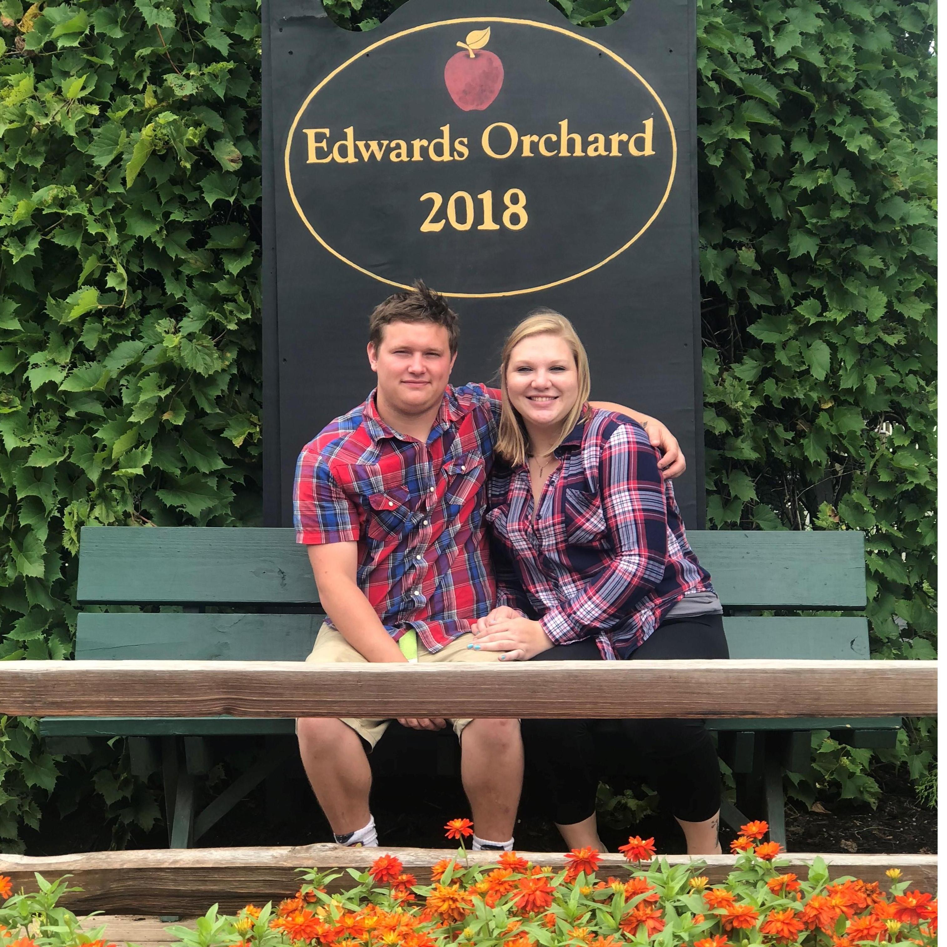 Apple orchard 2018