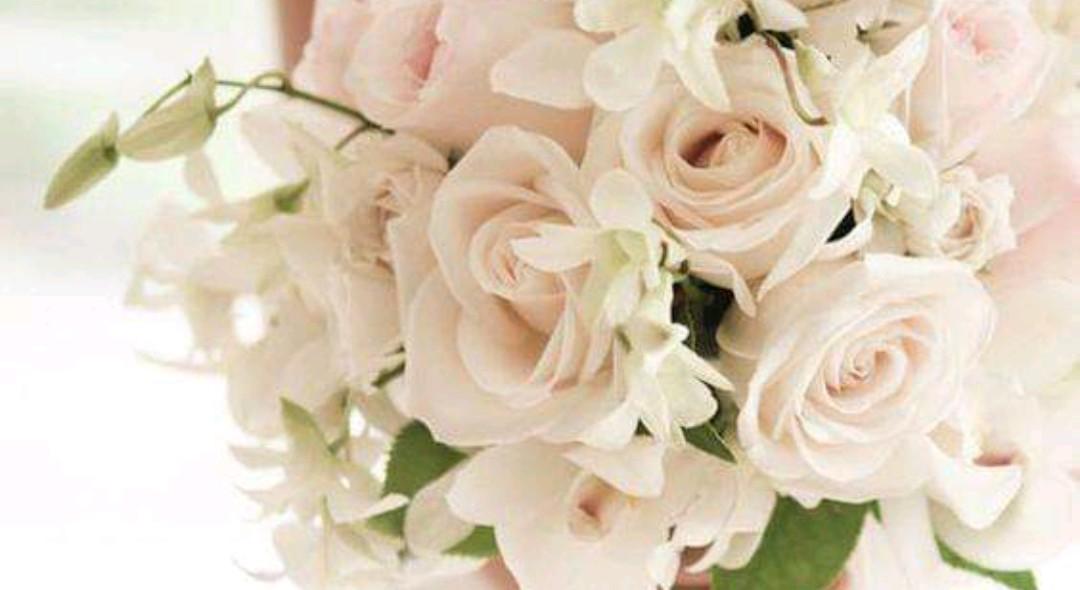 Footer image