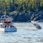 Eastport Windjammers