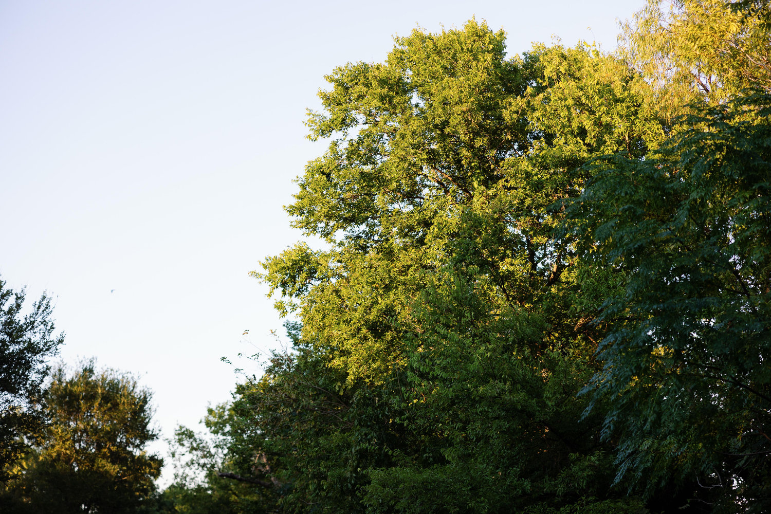 The Wedding Website of Beth Ham and Brandon Duhon