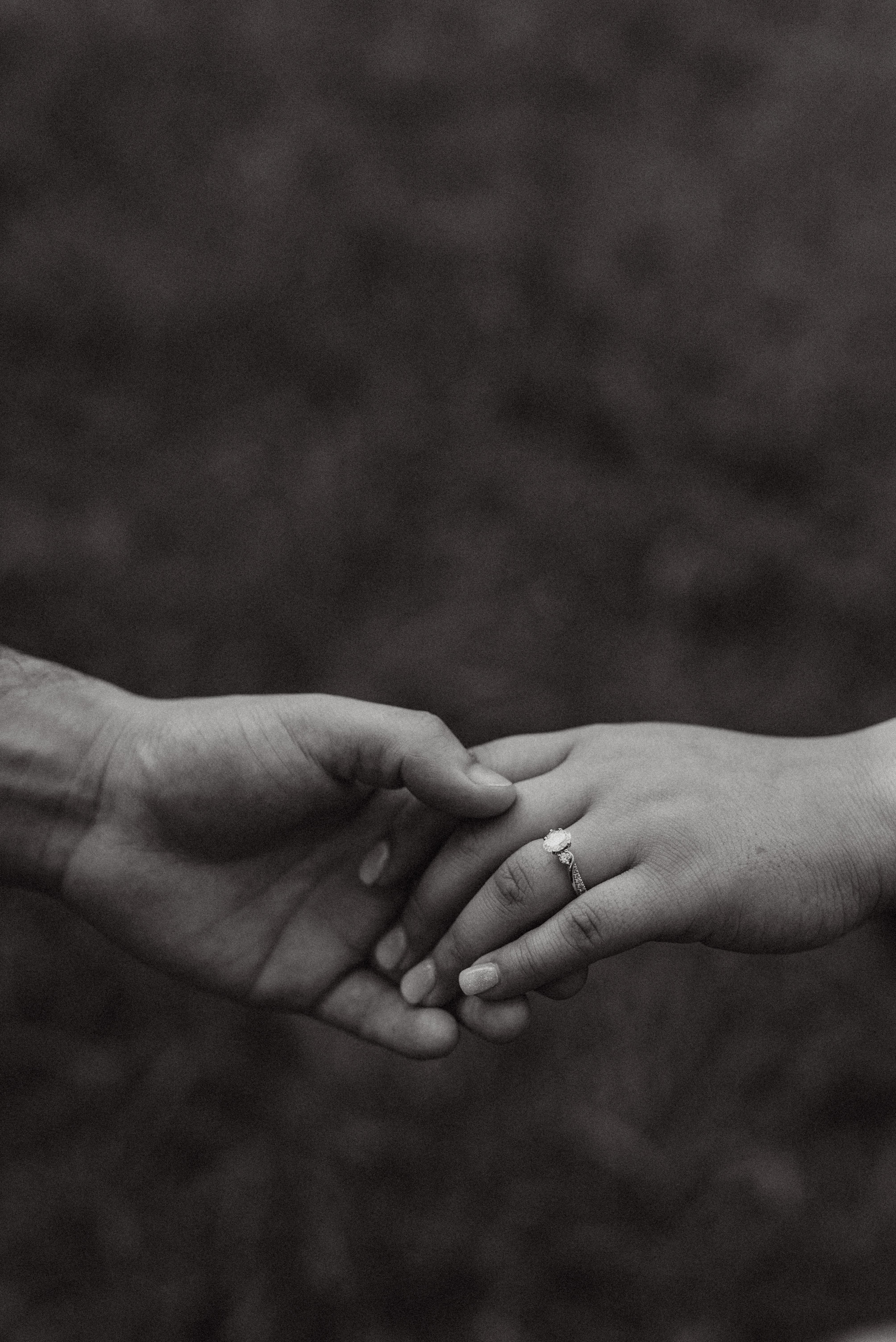 The Wedding Website of Ashley Sivek and Jason Luna