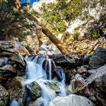 Forest Falls State Park