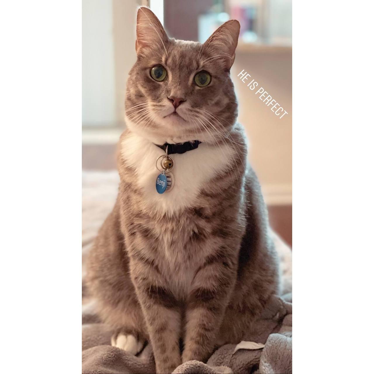 Our son, Benji