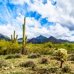 Hiking Trails