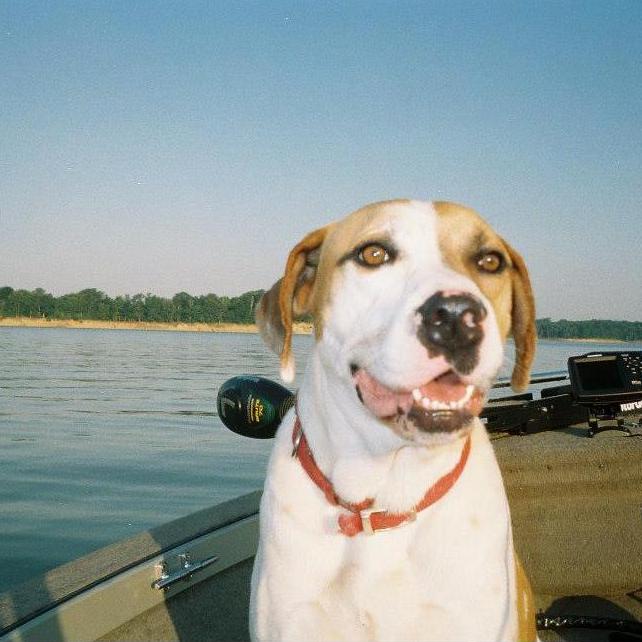 Ozzie Fritz