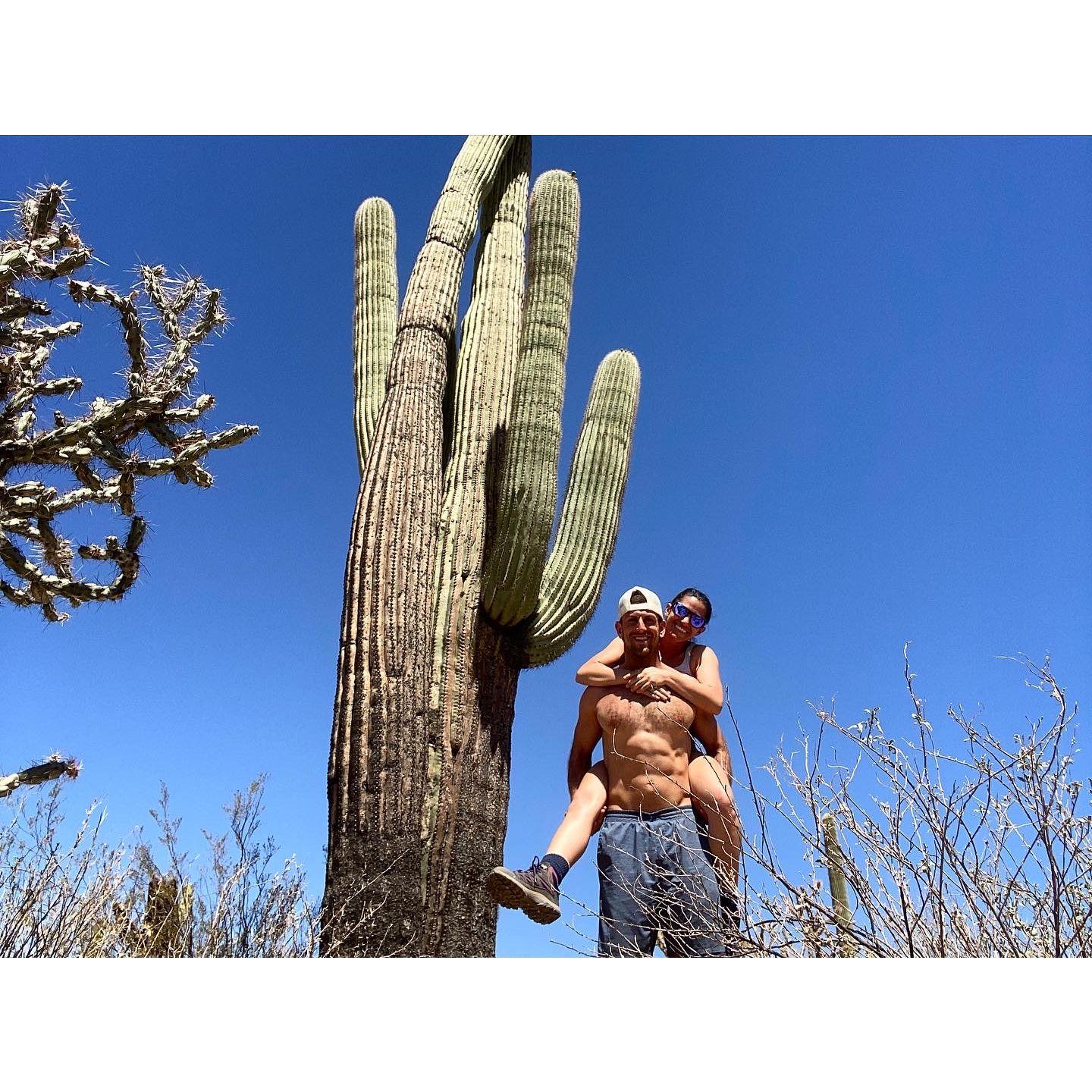 Saguaro National Park, AZ