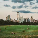 Zilker Metropolitan Park