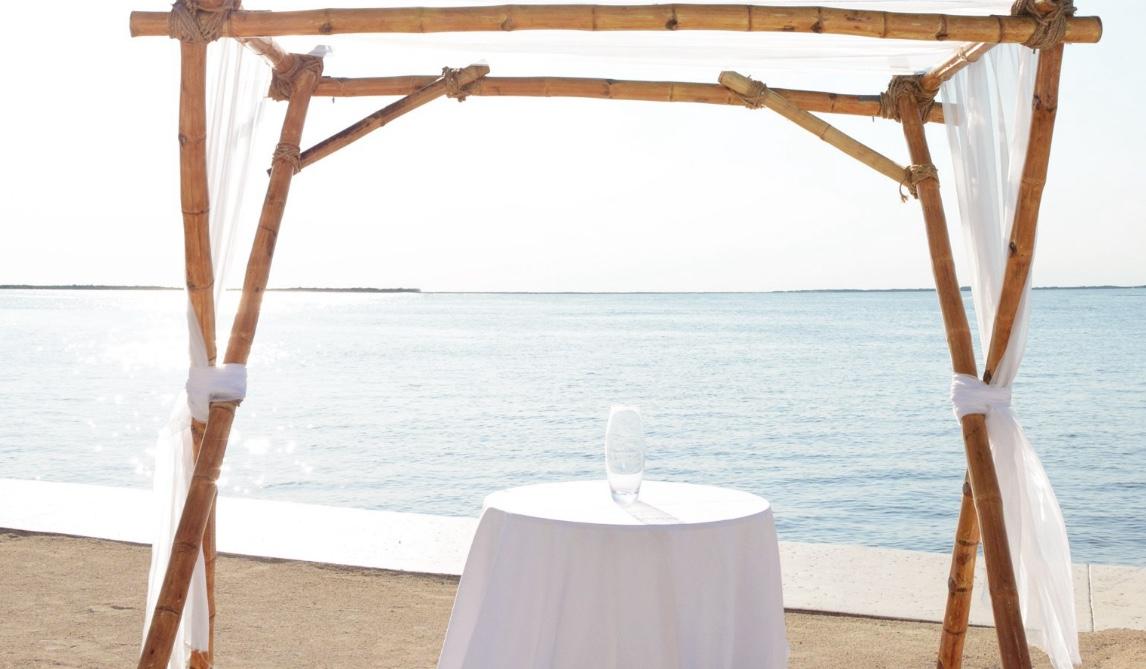 The Wedding Website of Jordan Raymond and Gia Pepe