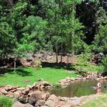Mt Tamborine Rainforest Walk