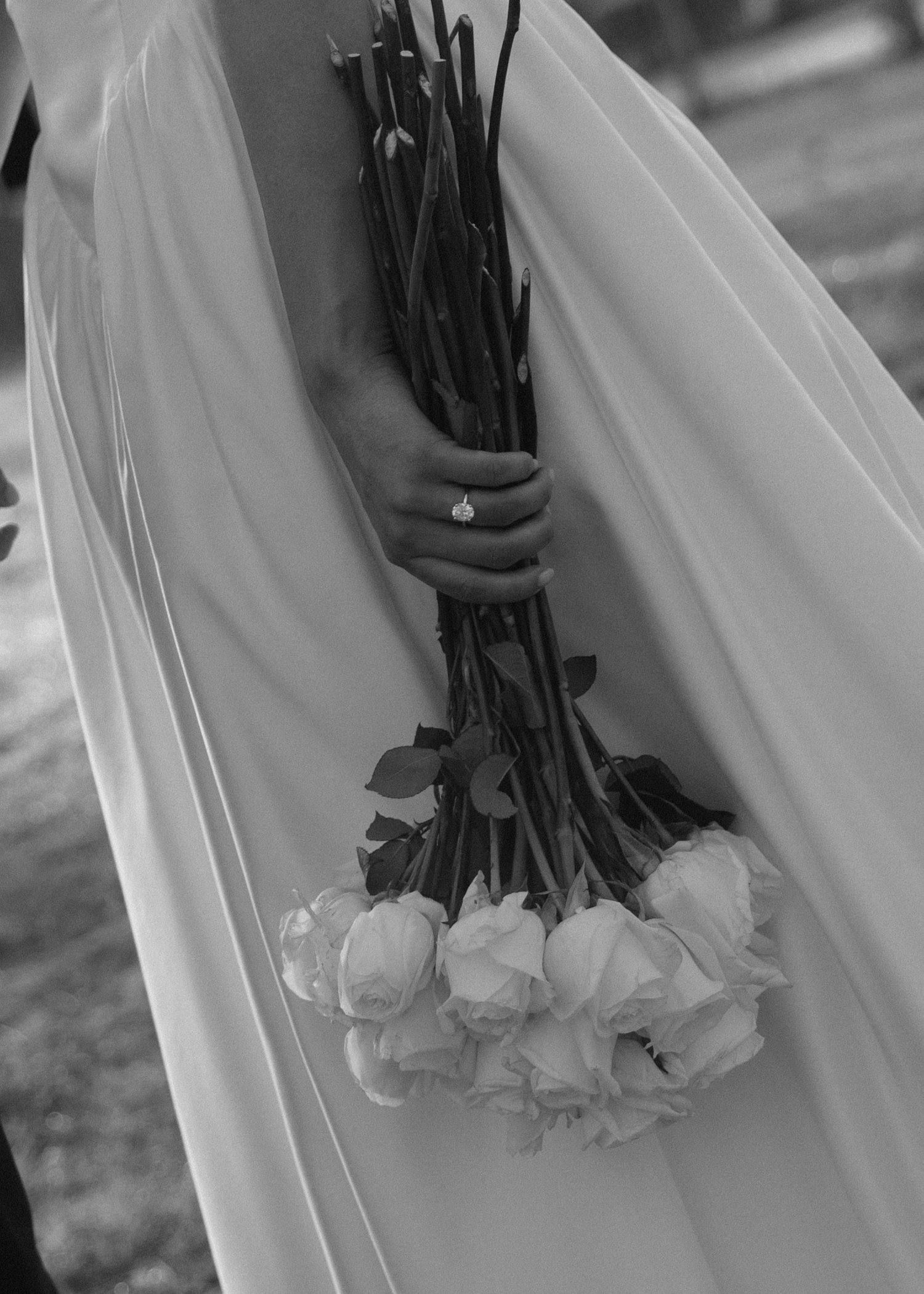 The Wedding Website of Lylyana Brych and Joseph Dolbun