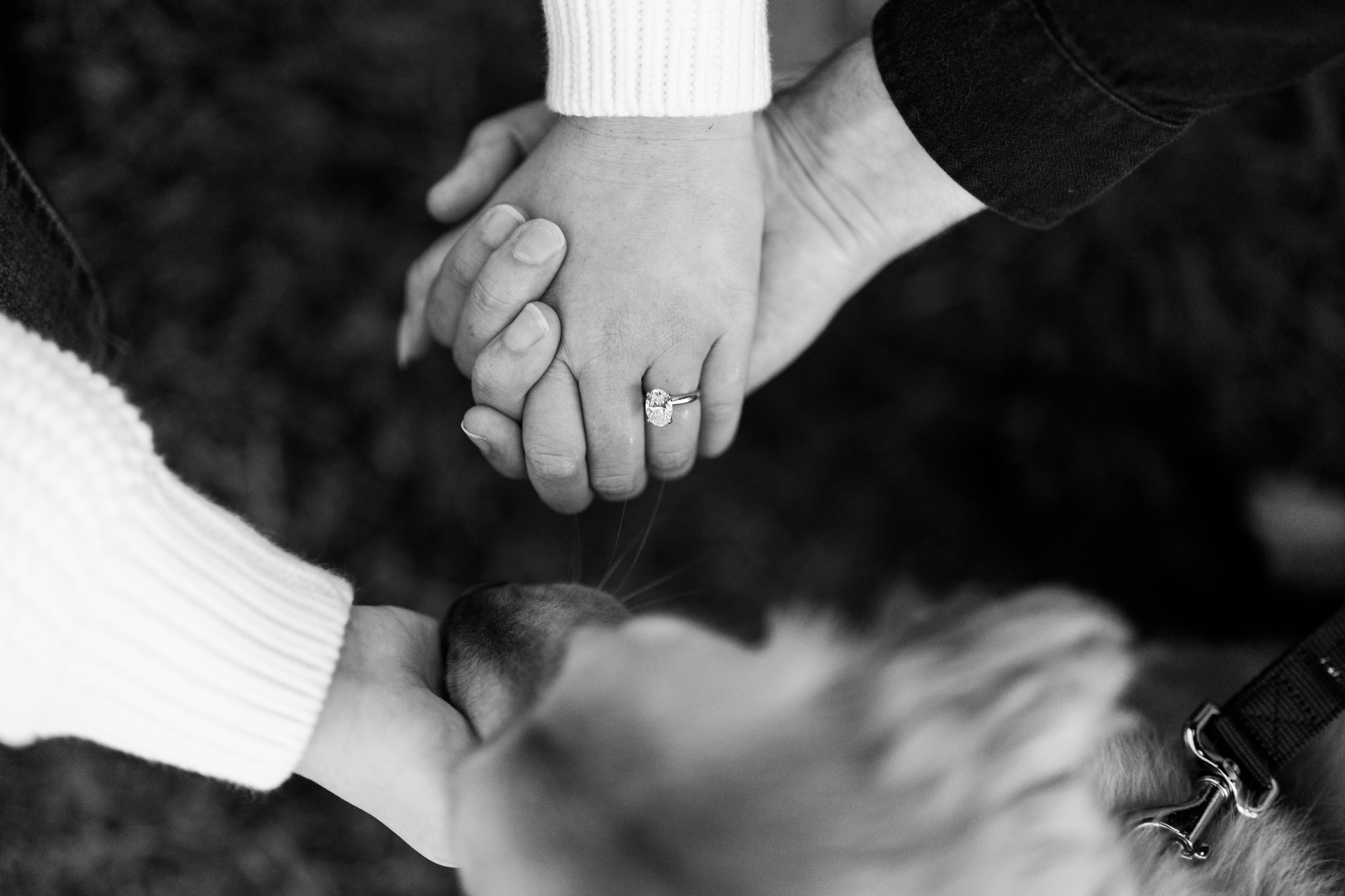 The Wedding Website of Rhiannon Goddard and Mark Chakuroff