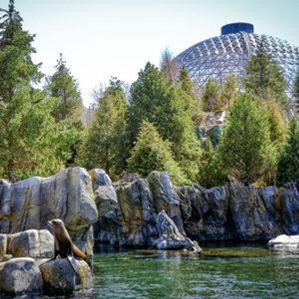 Omaha Dual Membership Pass