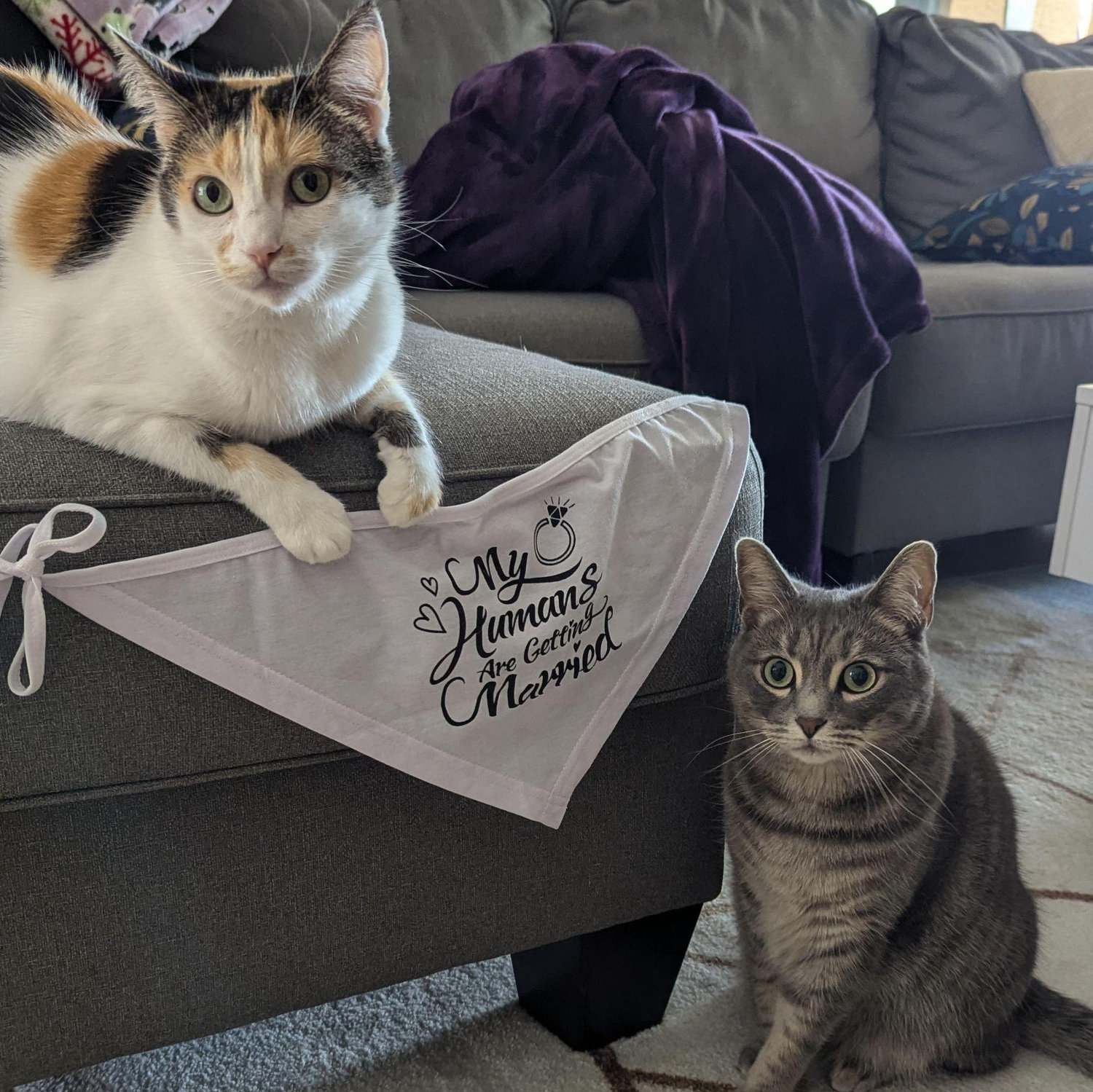 Fill in the blank: Sushi and Theo are (excited? surprised? confused? all of the above?) for us to get married!