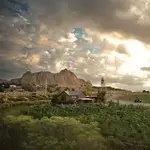 Vivác Winery