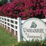 Check out Uwharrie Vineyards & Winery
