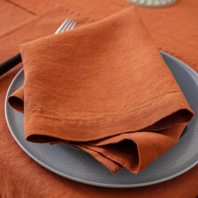20'' x 20'' Pure French Linen Napkins (Set of 4) - Eco-Friendly & Soft - Perfect for All Occasions