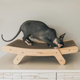 Emory Cardboard Cat Scratcher