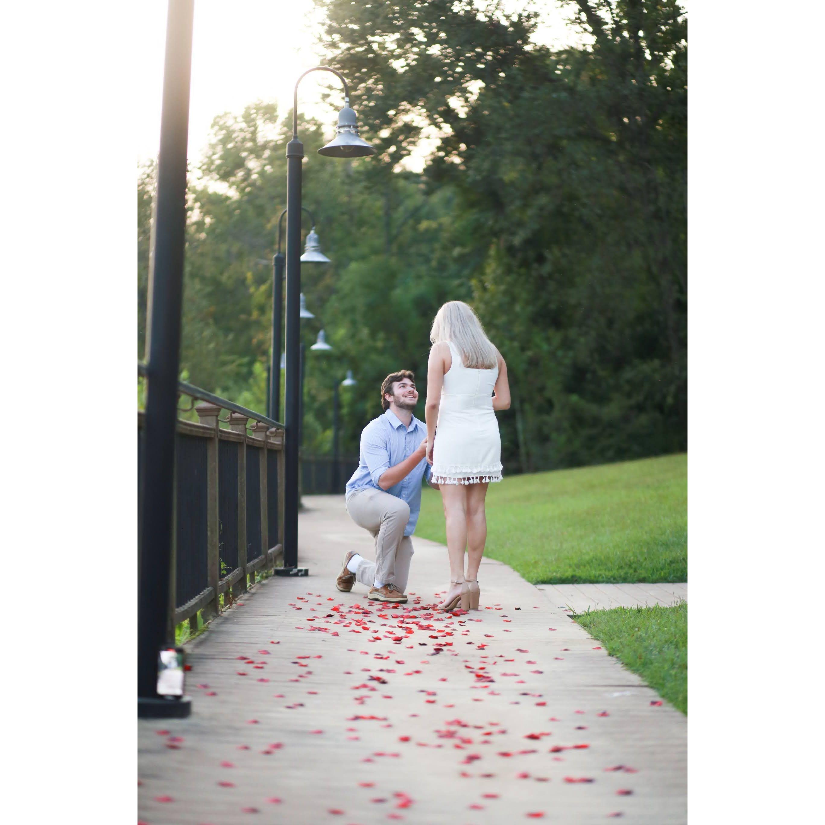 Shane proposed: October 1st 2021