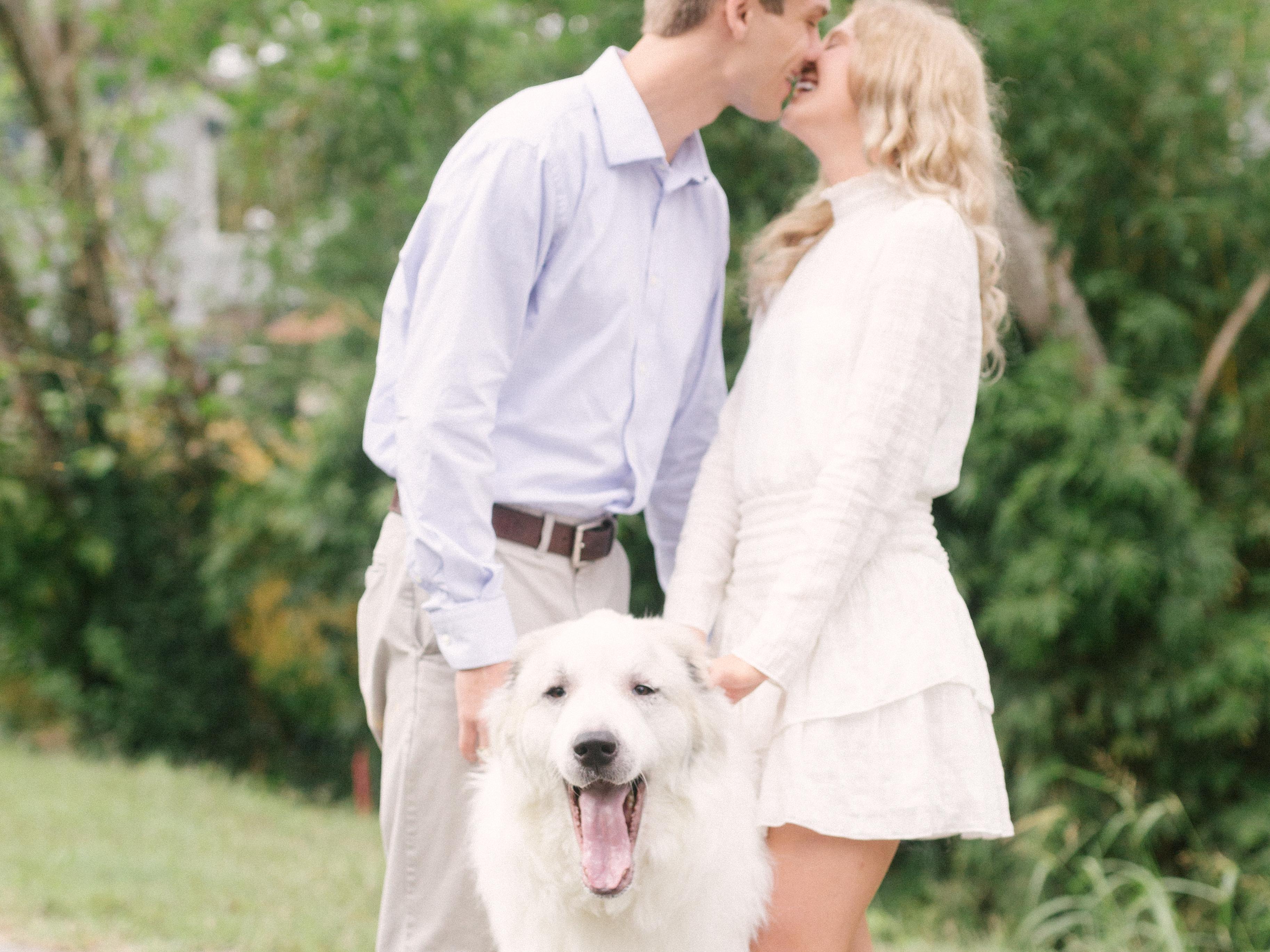 The Wedding Website of Madison Ward and Aaron Dunn