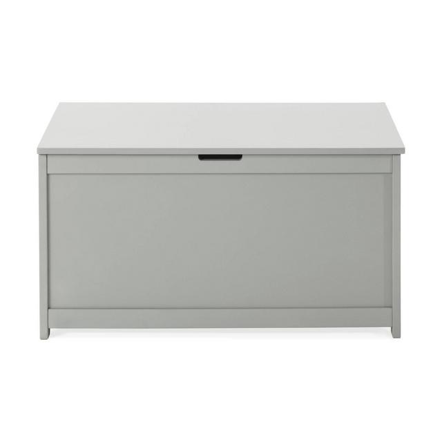 Harmony 33" Kids' Toy Box/Storage Chest by Forever Eclectic Gray
