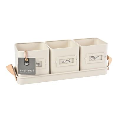 3 Herb Pots in a Leather Handled Tray