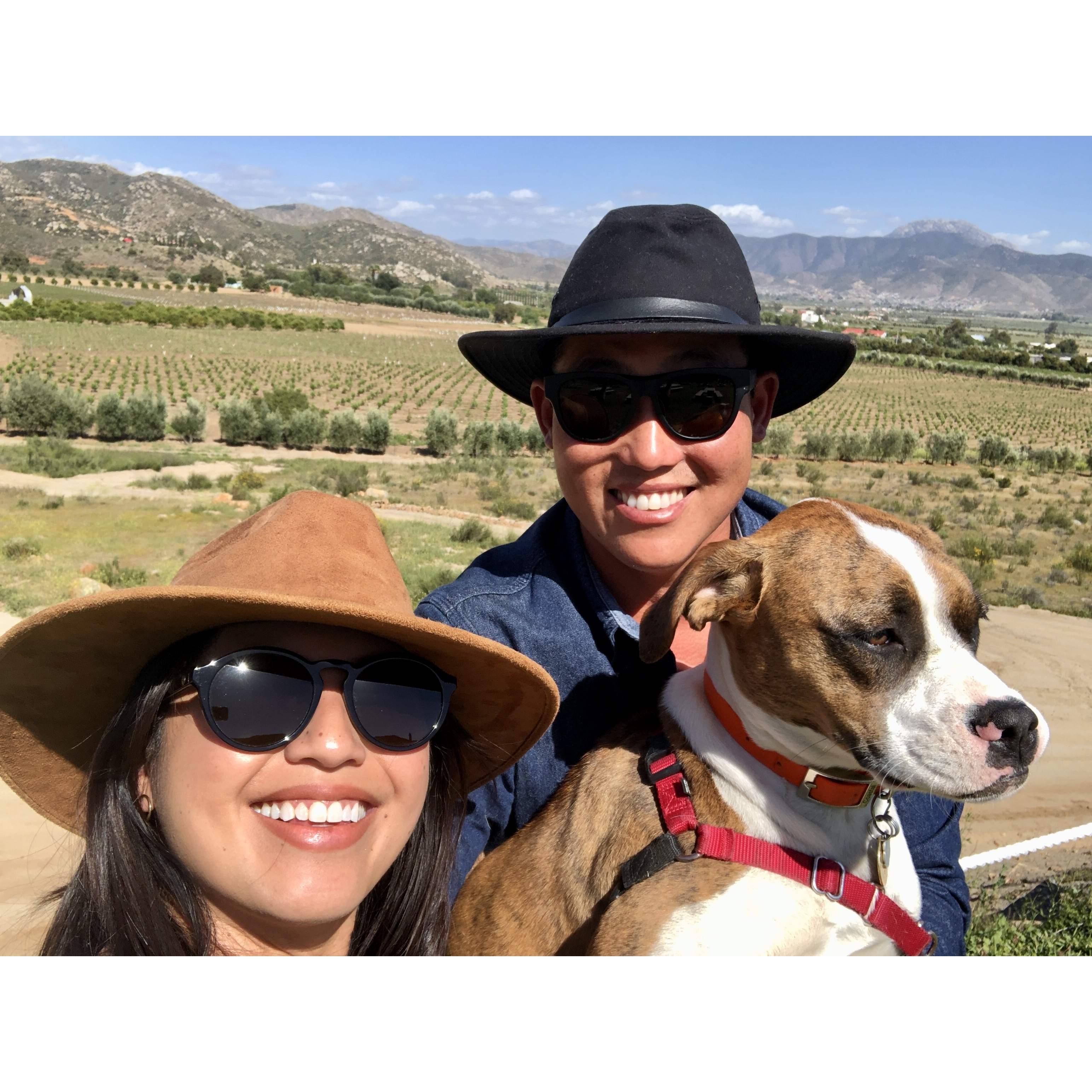 Ginny's first trip in Valle de Guadalupe, Mexico