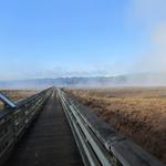 Theler Wetlands Trail