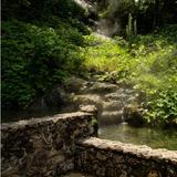 Natural Hot Springs at Arlington Lawn Park