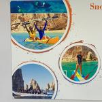 Snorkel and Sea Adventure