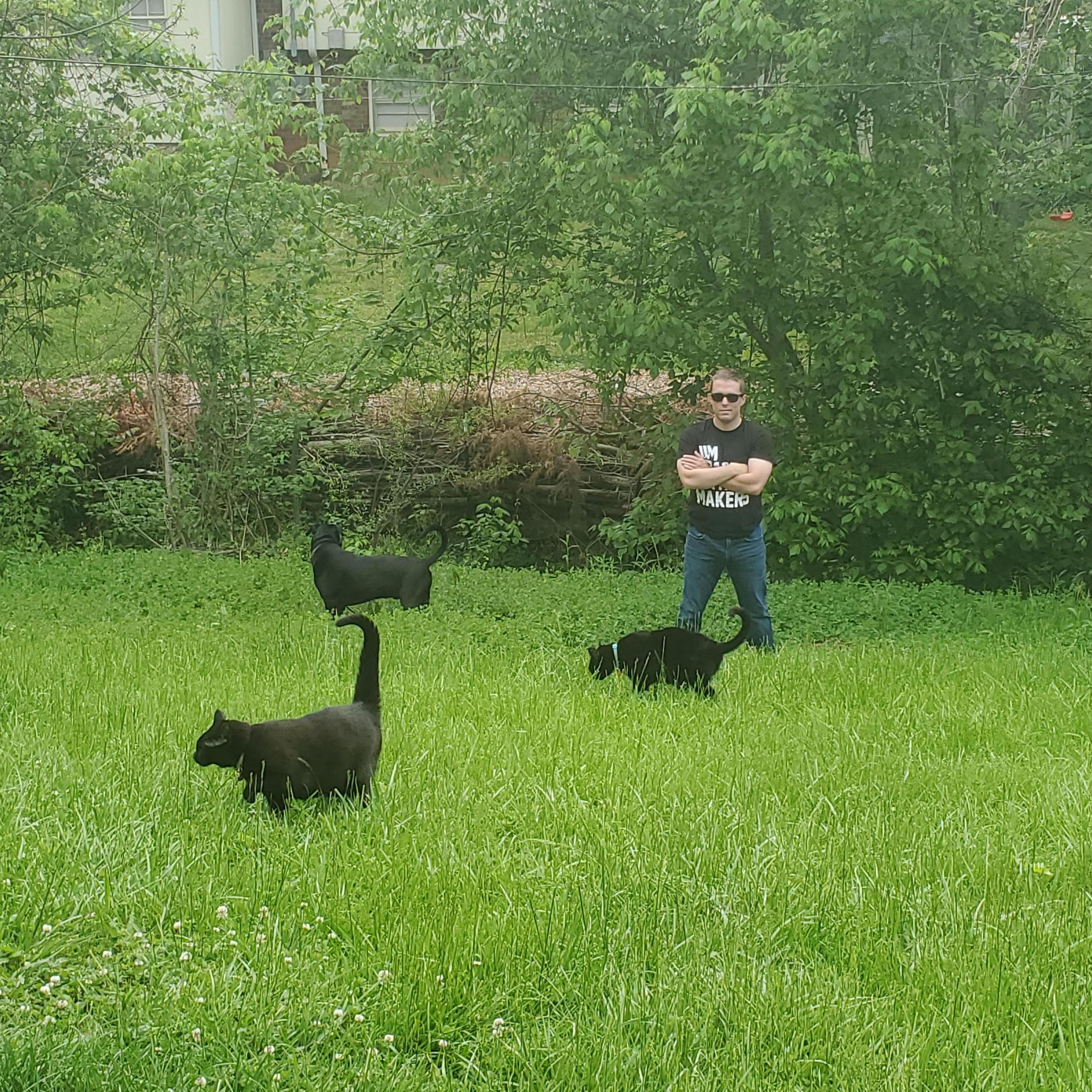 Cat. Cat. Dog.
Taken while transplanting the five of us to NC in a pickup– the pets continue to put up with our antics none the wiser.