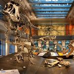 Natural History Museum of Los Angeles County