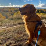 North Shore Fall Colors