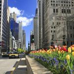 Magnificent Mile