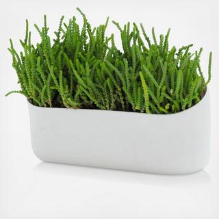 Wide Mouth Magnetic Container