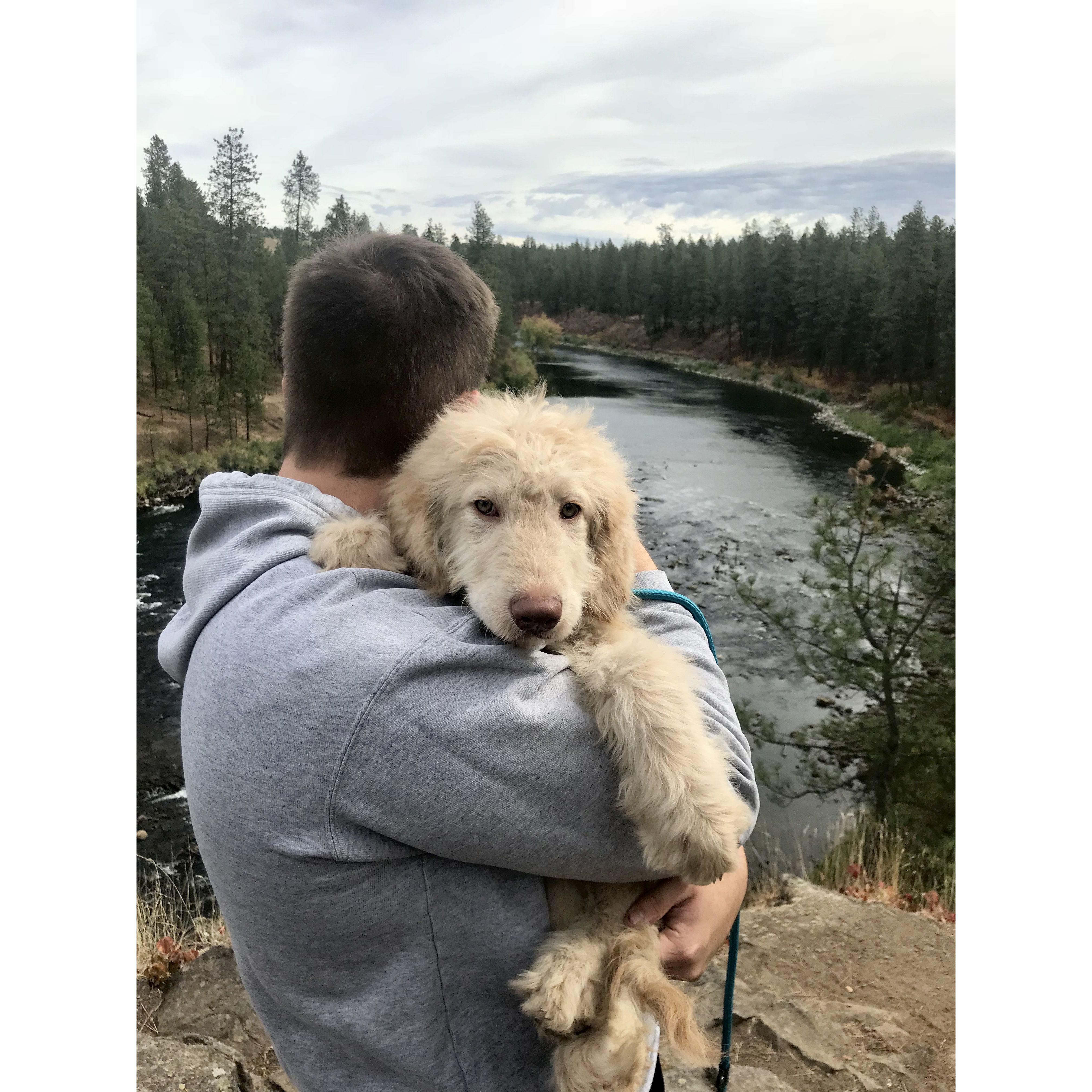 About three months after moving in together, we took a huge leap and added the bestest boy, Hunter Bunter Sand, to our little family.