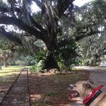 City Park