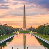 Washington D.C.
