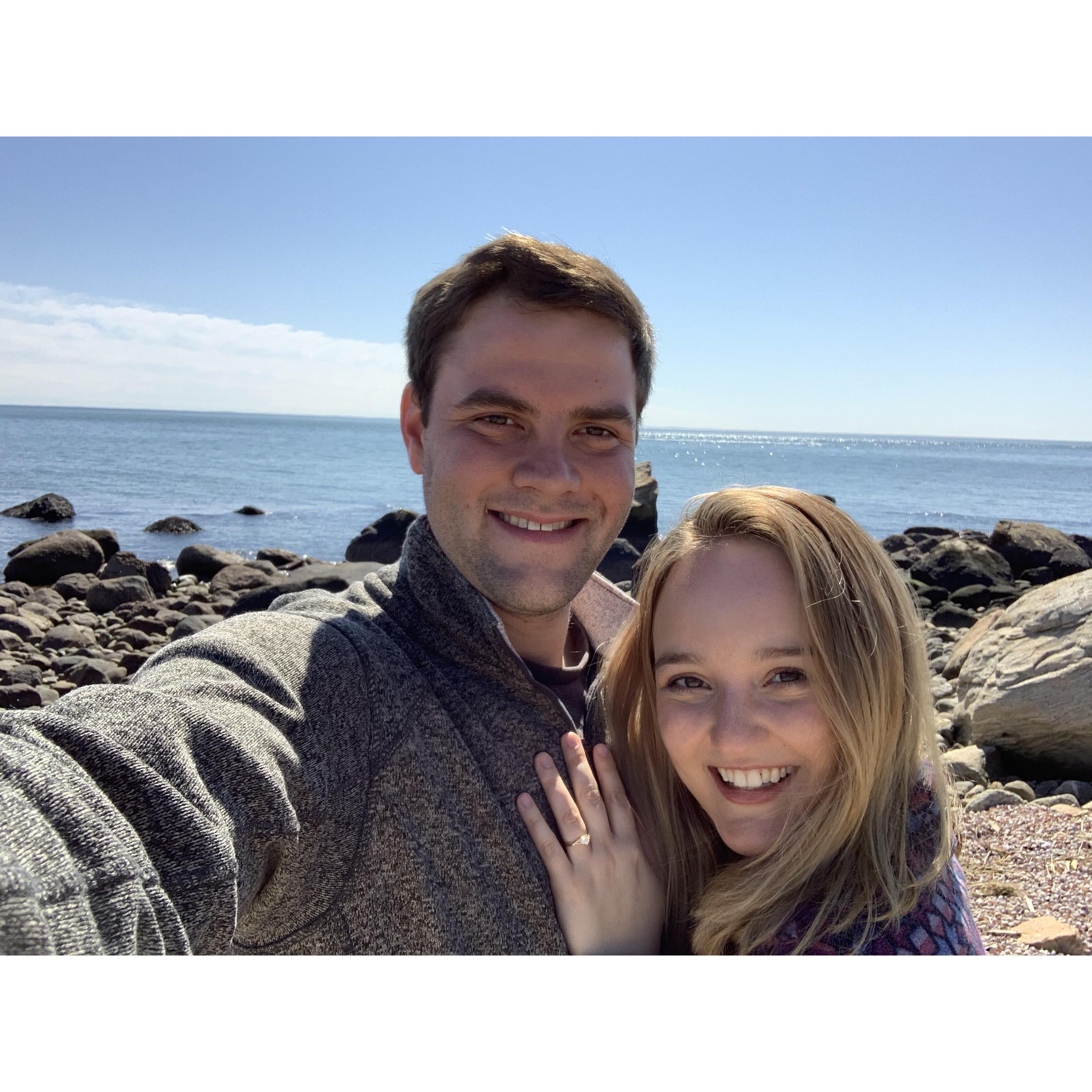Our pandemic proposal
