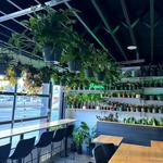 pure.roots Cafe & Plant Shop
