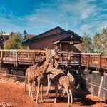 Cheyenne Mountain Zoo