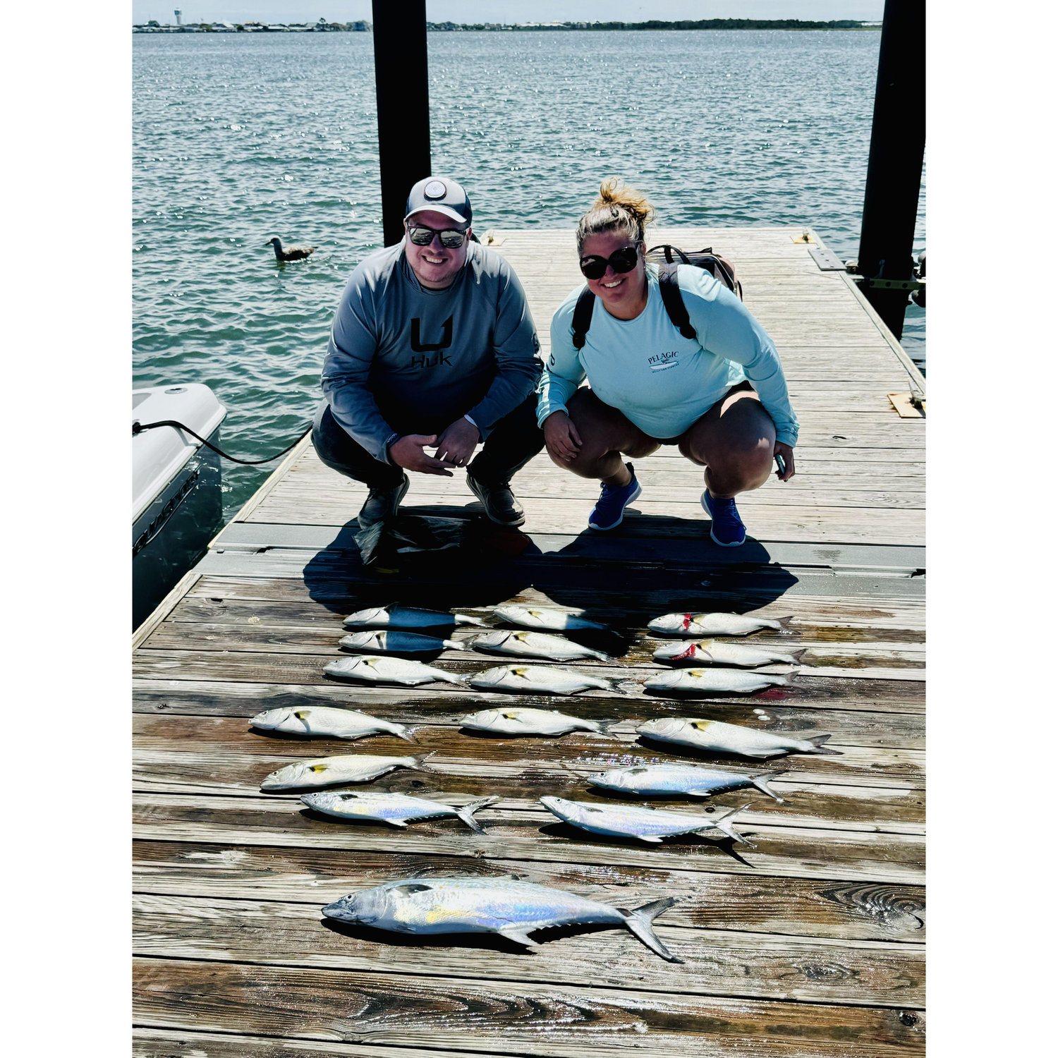Caught our limit in Emerald Isle!  Fileted them by night.  The flashlight holder was unreliable and one of us nearly lost a finger.  Not naming names, but don't trust Cara with a flashlight.