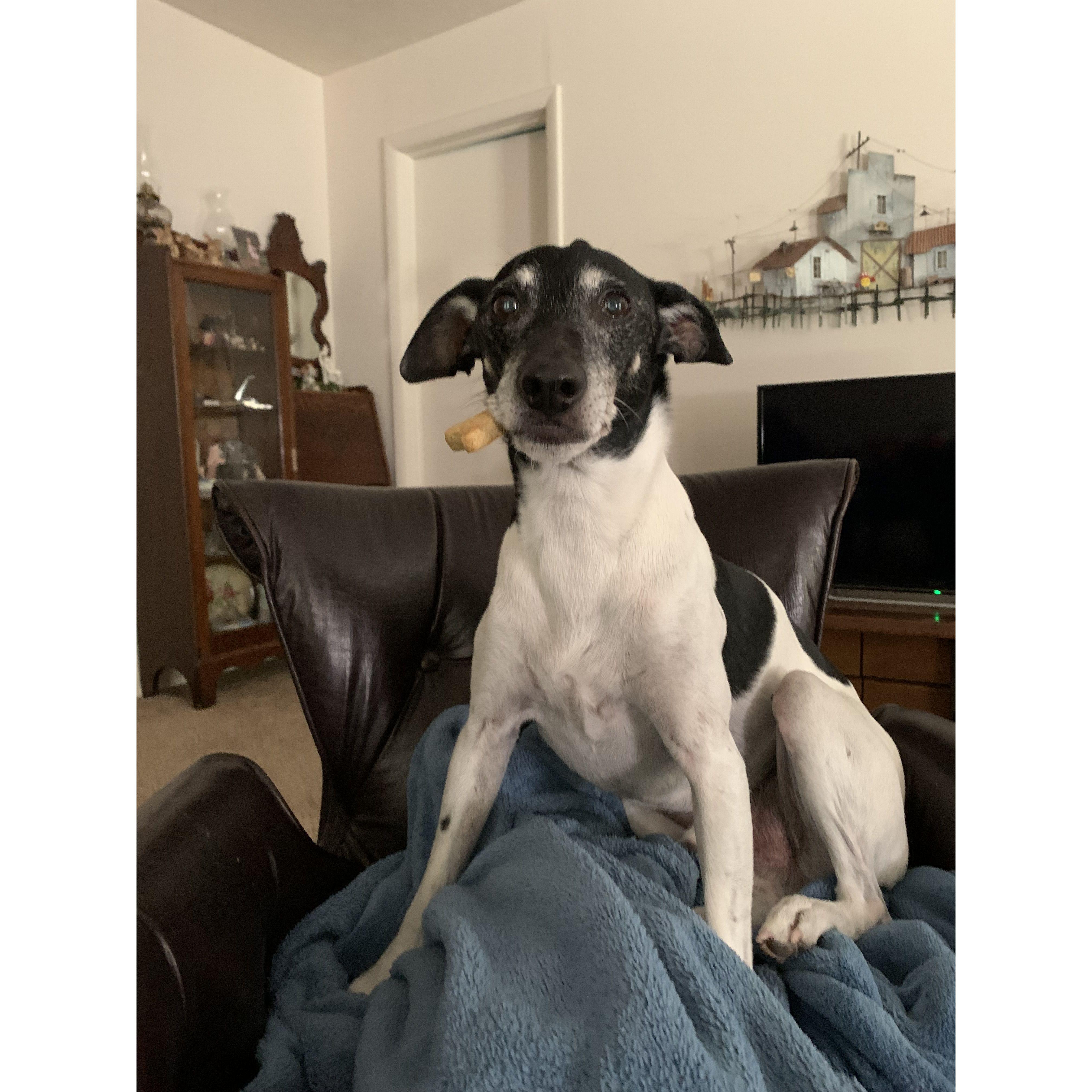 Zeke