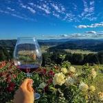 A Great Oregon Wine Tour