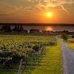 Seneca Lake Wine Trail