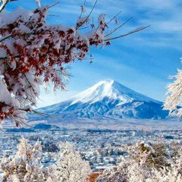 Our Japan Honeymoon Feb 2027