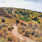 Arrowhead Mountain