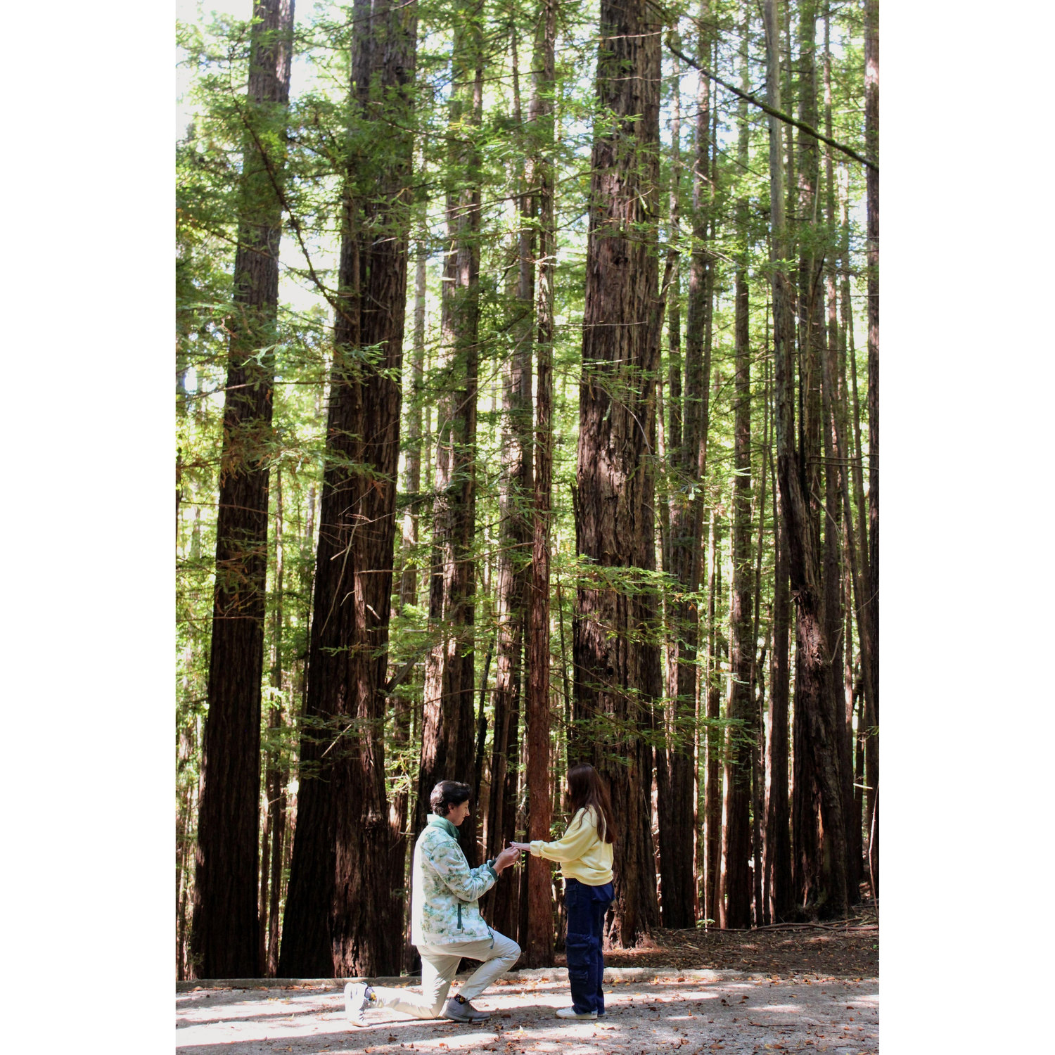 The proposal