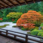 Portland Japanese Garden